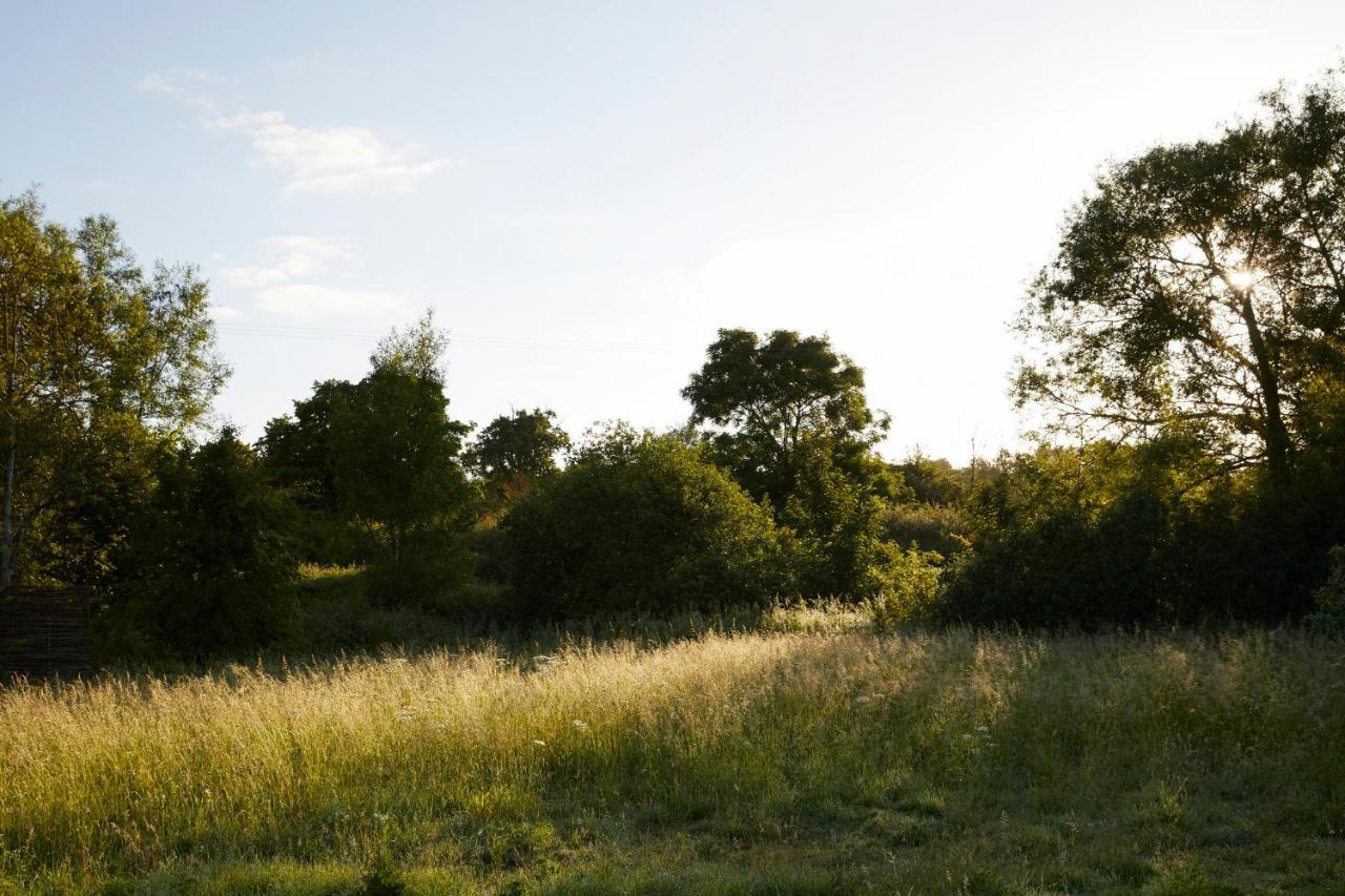 Artist Residence Oxfordshire Sutton Green Екстериор снимка
